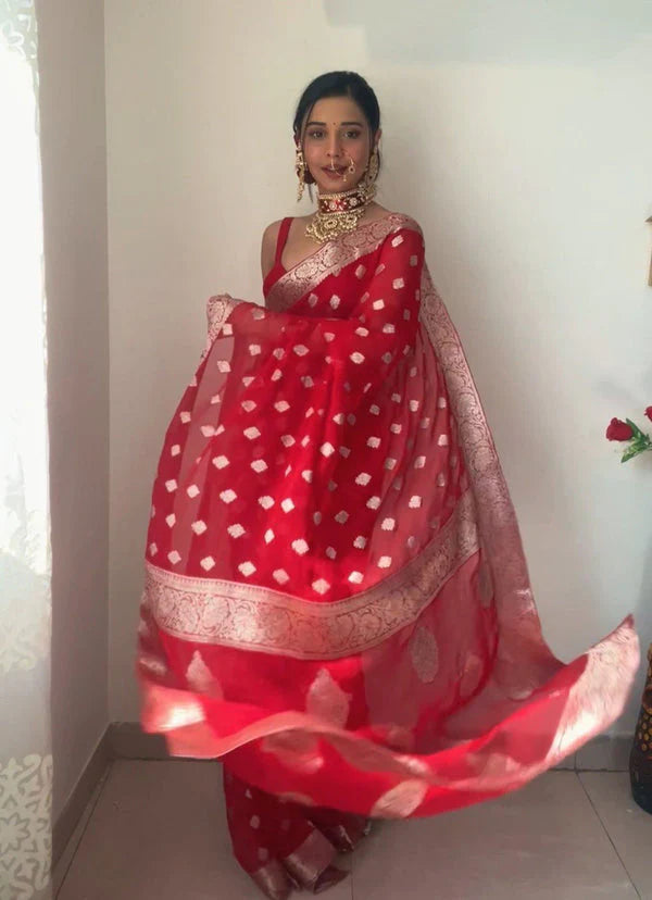 Red Cotton Silk Saree - draped look