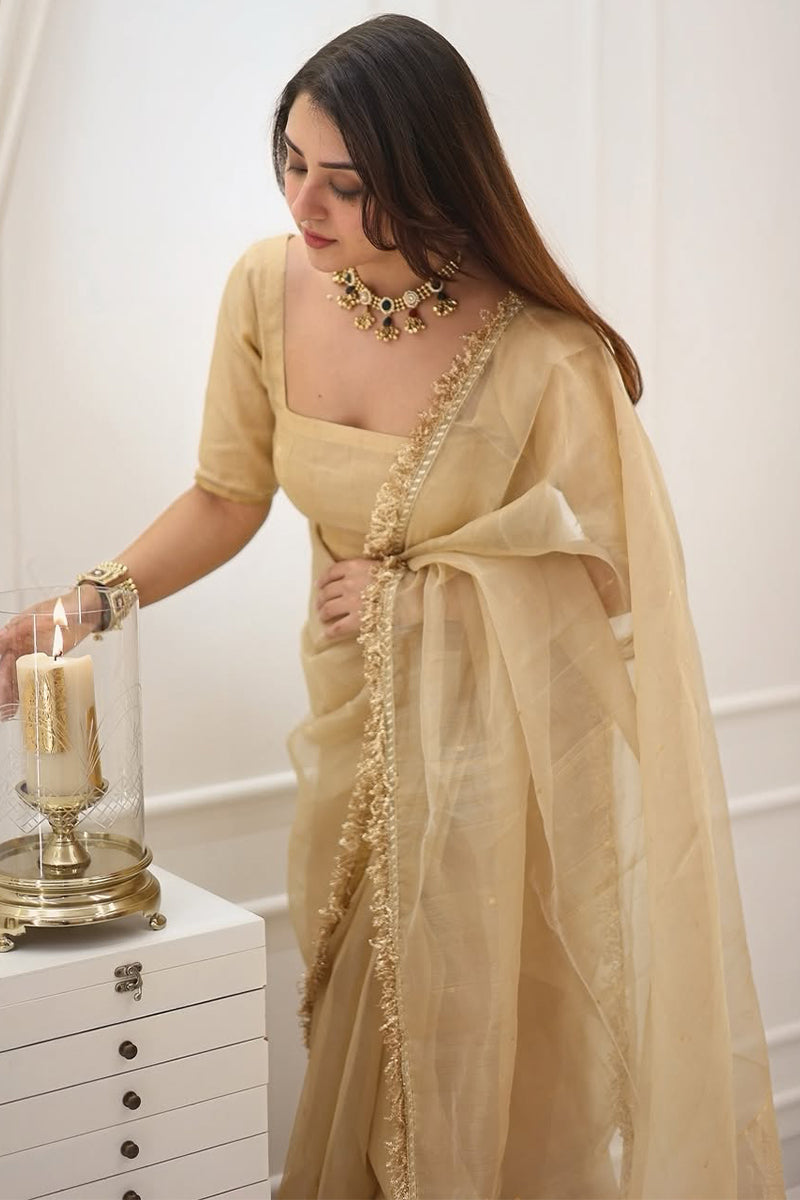 Beige Cotton Silk Saree – embroidery border detail